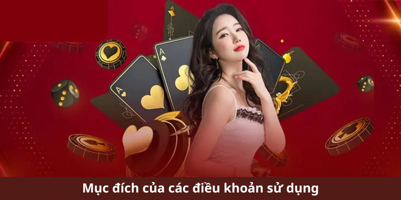 Ý nghĩa và tầm quan trọng của các điều khoản sử dụng