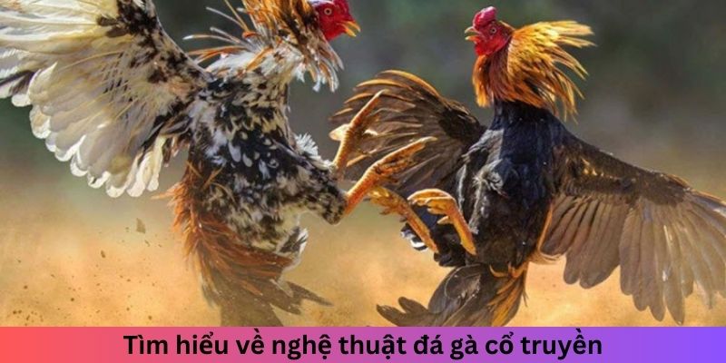 Tìm hiểu về nghệ thuật đá gà cổ truyền