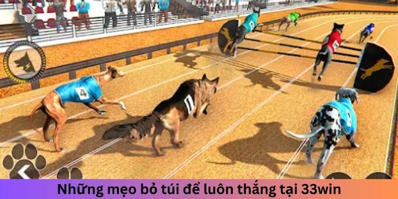 Những mẹo bỏ túi để luôn thắng trong mẹo đua chó ảo