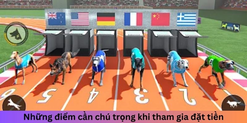 Những điểm cần chú trọng khi tham gia đặt tiền vào mẹo đua chó ảo