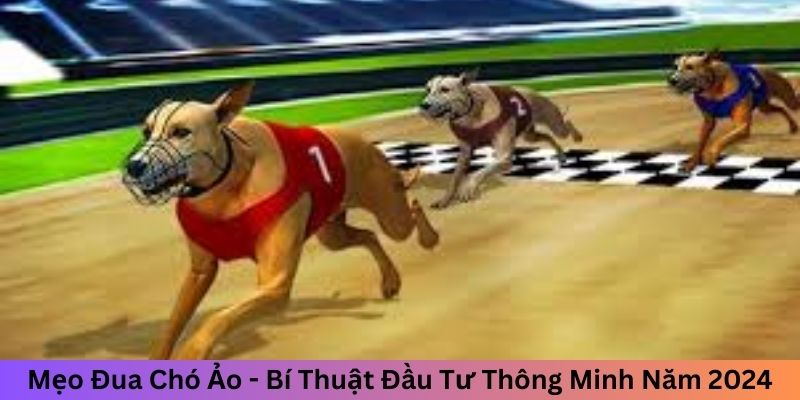 Mẹo Đua Chó Ảo - Bí Thuật Đầu Tư Thông Minh Năm 2024