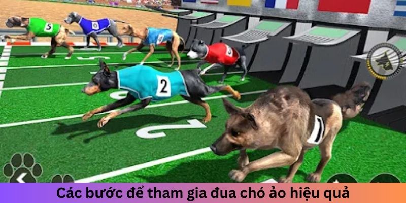 Các bước để tham gia đua chó ảo hiệu quả