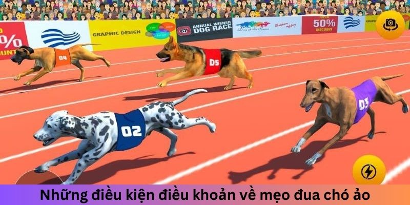 Những điều kiện điều khoản về đua chó ảo